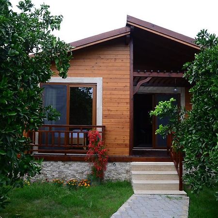 Villa Bilge Çıralı Pokój zdjęcie