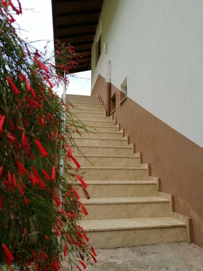 Villa Bilge Çıralı Zewnętrze zdjęcie