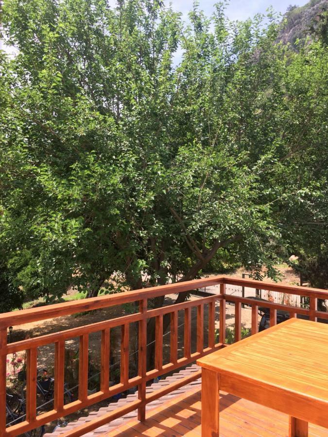Villa Bilge Çıralı Zewnętrze zdjęcie
