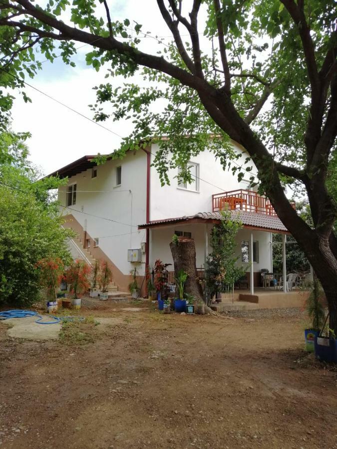 Villa Bilge Çıralı Zewnętrze zdjęcie