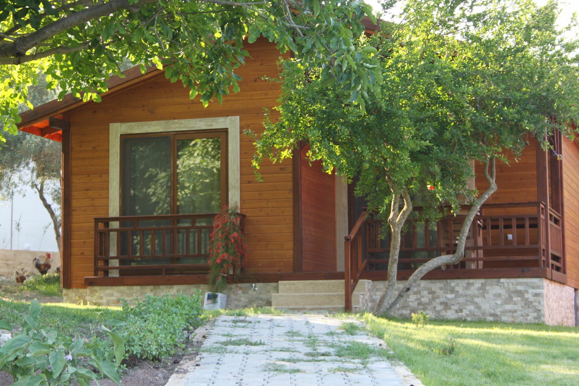 Villa Bilge Çıralı Zewnętrze zdjęcie