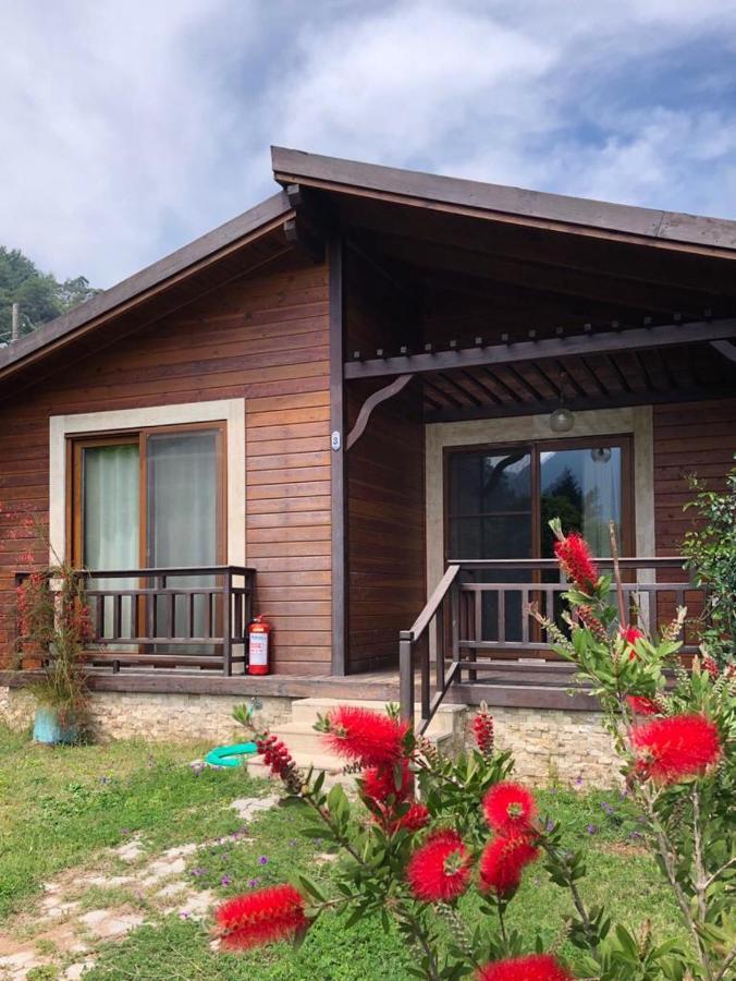 Villa Bilge Çıralı Zewnętrze zdjęcie