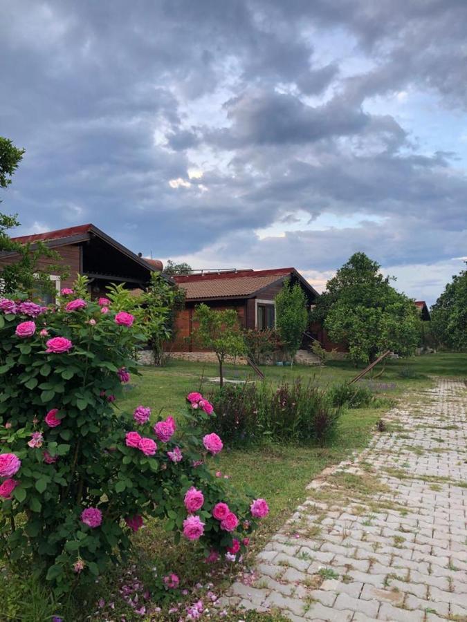 Villa Bilge Çıralı Zewnętrze zdjęcie